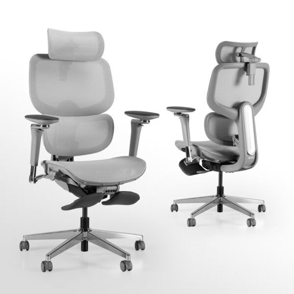 D2 Pro High Back Ergonomic Home Office Chair With DTS Self-Adaptive Lumbar Support, Multi-Adjustable Armrest, Wire Controlled Design, Footrest, 4D Headrest Mesh Office Computer Chair - Image 6