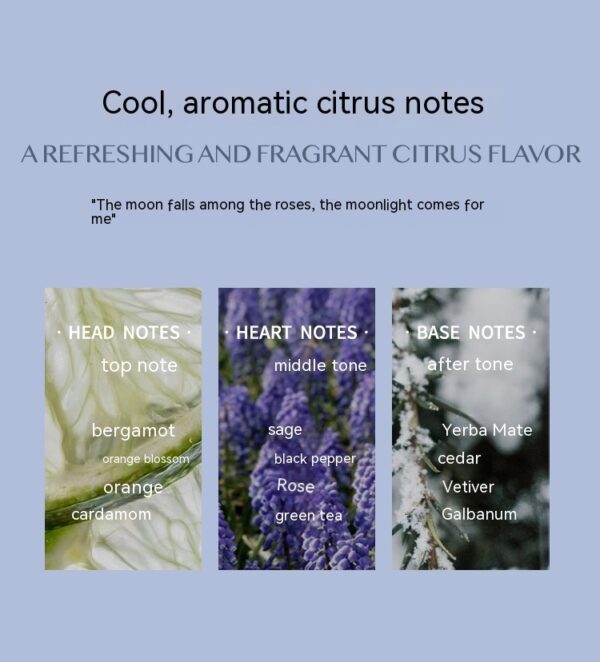 Aromatic Citrus Aromatic Perfume Long-lasting Perfume - Image 5