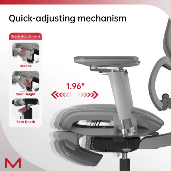 D2 Pro High Back Ergonomic Home Office Chair With DTS Self-Adaptive Lumbar Support, Multi-Adjustable Armrest, Wire Controlled Design, Footrest, 4D Headrest Mesh Office Computer Chair - Image 9