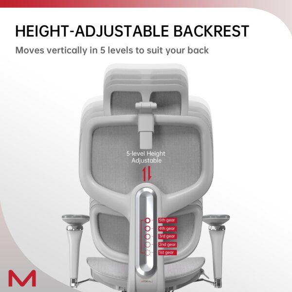 D2 Pro High Back Ergonomic Home Office Chair With DTS Self-Adaptive Lumbar Support, Multi-Adjustable Armrest, Wire Controlled Design, Footrest, 4D Headrest Mesh Office Computer Chair - Image 2